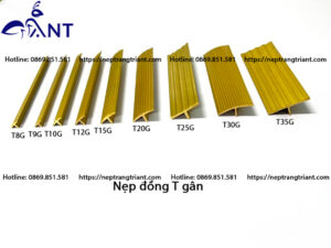 Nẹp đồng T gân