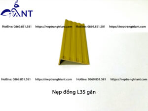 Nẹp đồng chống trơn L35 gân
