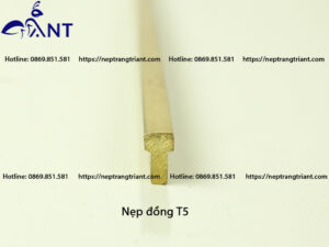 Nẹp đồng T5