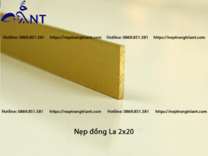 Nẹp đồng la 2x20