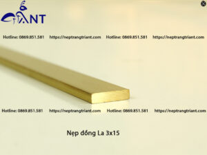 Nẹp đồng La 3x15