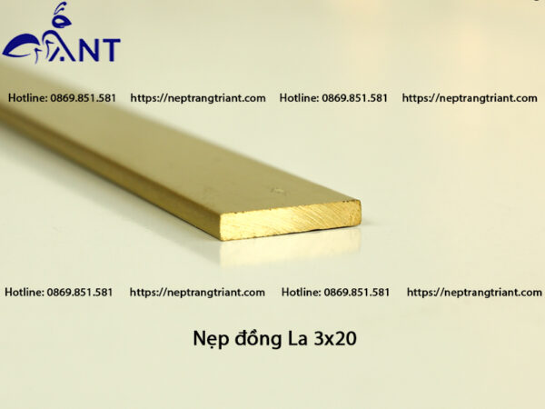 Nẹp đồng La 3x20