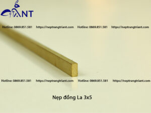 Nẹp đồng La 3x5