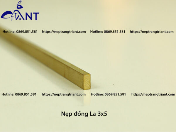 Nẹp đồng La 3x5