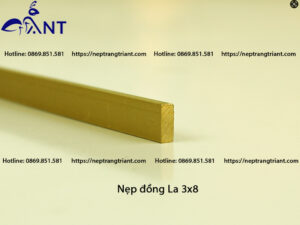 Nẹp đồng La 3x8