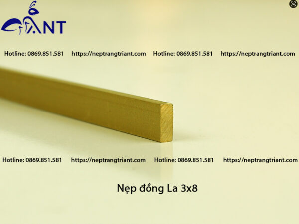 Nẹp đồng La 3x8