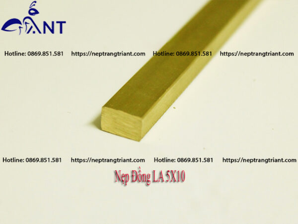 Nẹp đồng La 5x10