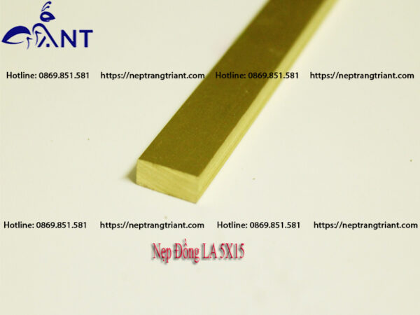 Nẹp đồng La 5x15