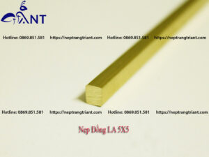 Nẹp đồng La 5x5
