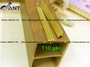 Nẹp đồng chống trơn T10 gân