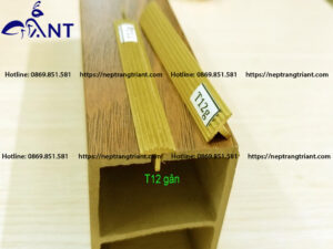 Nẹp đồng chống trơn T12 gân