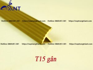 Nẹp đồng chống trượt T15 gân
