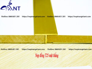 Nẹp đồng T25 mặt thẳng