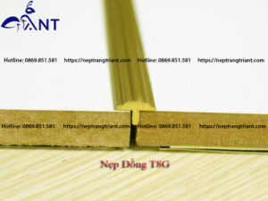 Nẹp đồng T8 gân