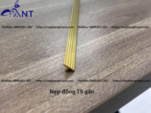 Nẹp đồng T9 gân