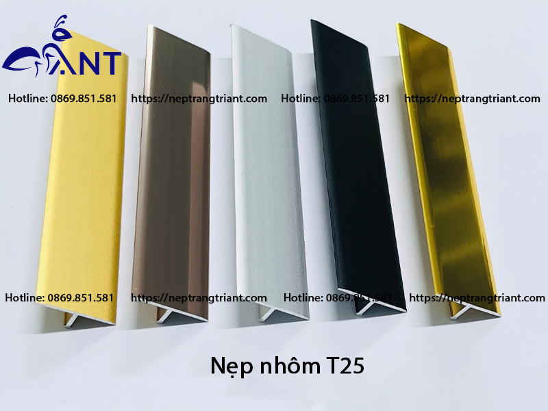 Nẹp nhôm T25