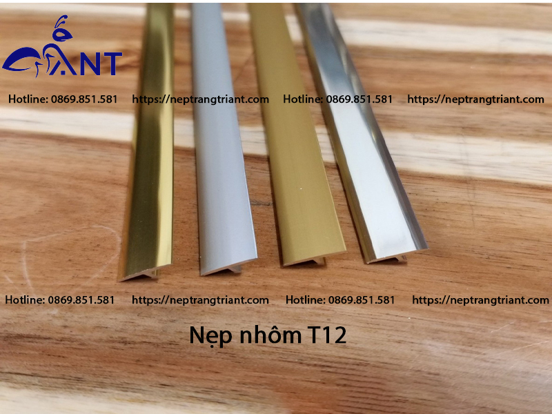 Nẹp nhôm T12