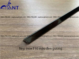 Nep inox T10 mau den guong