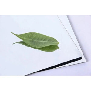 inox màu trắng gương