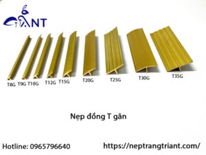Nẹp đồng T gân