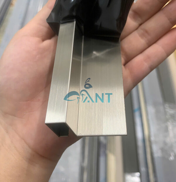 ant-09