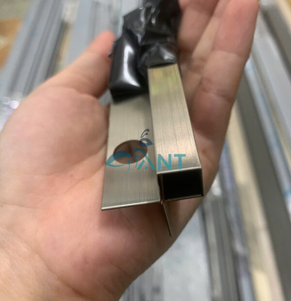 ant-10