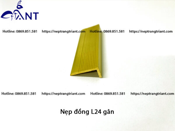 Nẹp đồng chống trơn L24 gân
