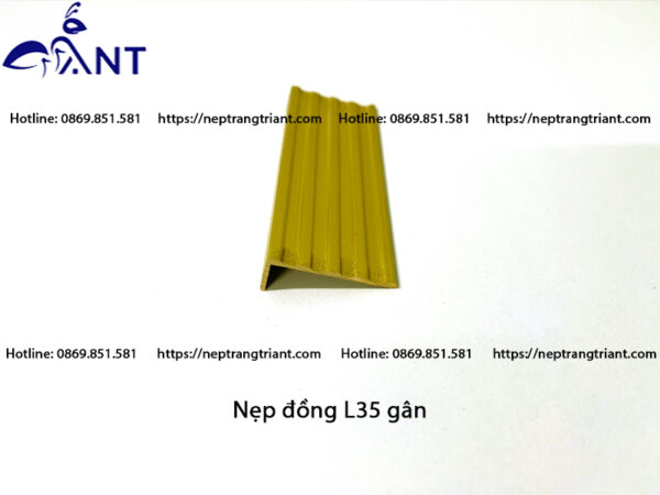 Nẹp đồng chống trơn L35 gân