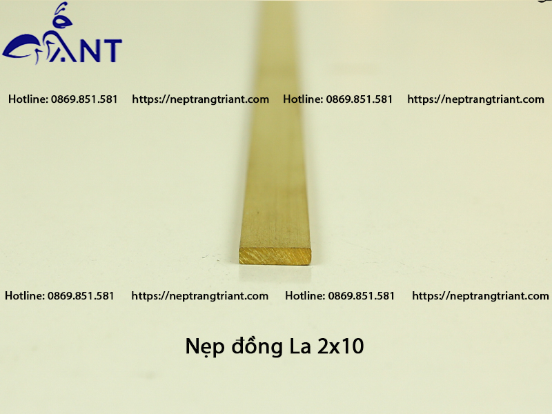 Nẹp đồng La 2x10