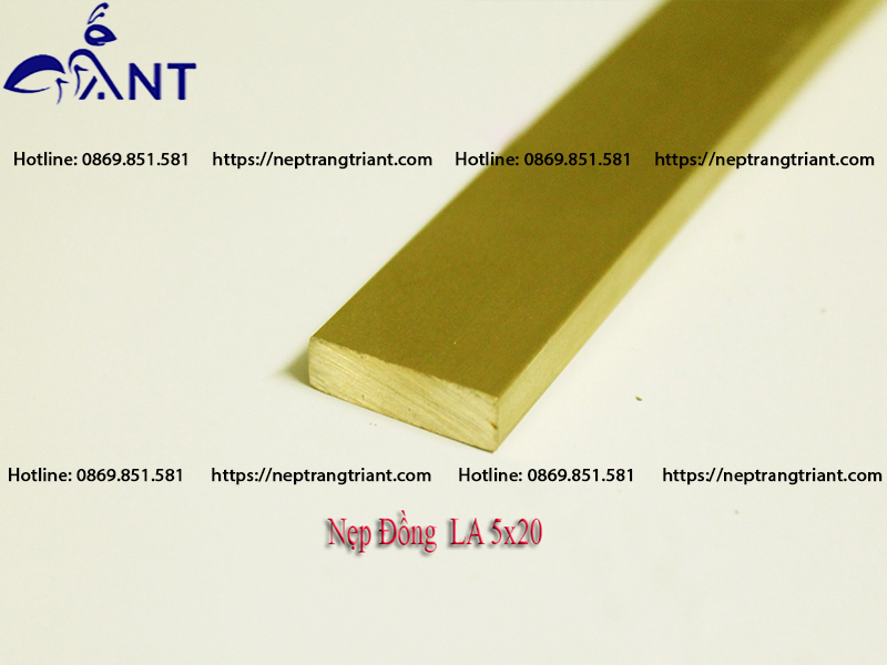 Nẹp đồng La 5x20