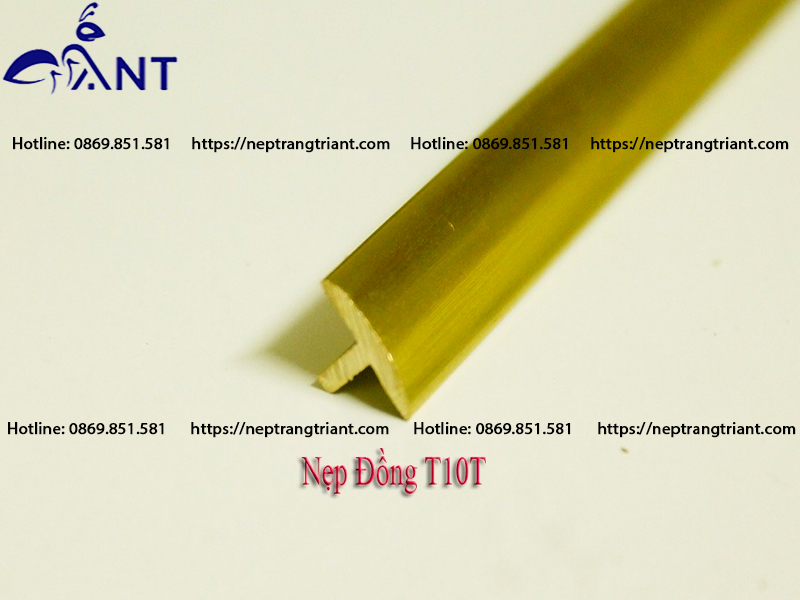 Nẹp đồng T10 trơn