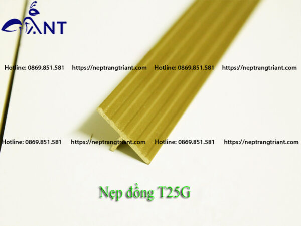 Nẹp đồng chống trơn T25 gân