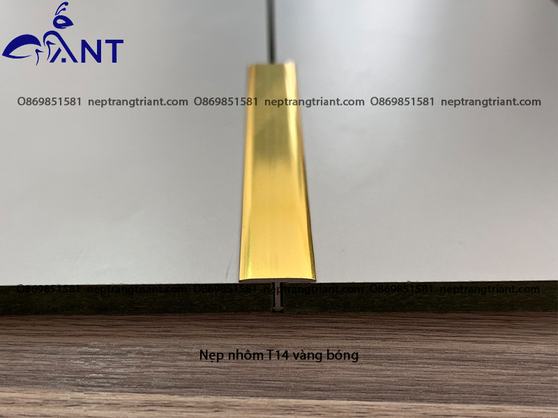 Nẹp nhôm T14 màu vàng bóng