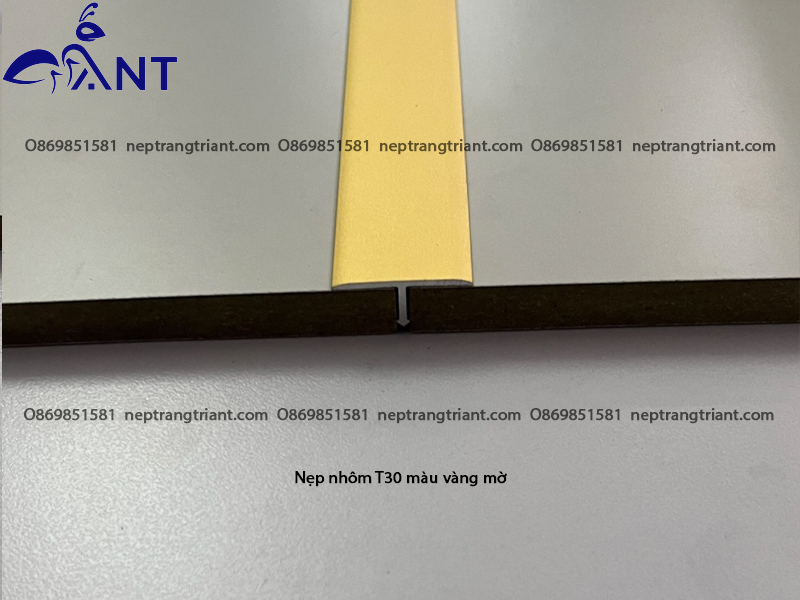 Nẹp nhôm T30 màu vàng mờ