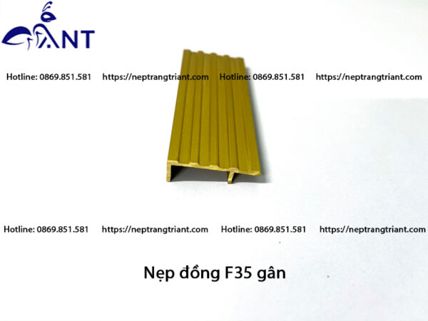 Nẹp đồng F35 gân