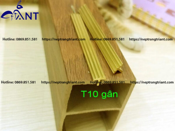 Nẹp đồng T10 gân